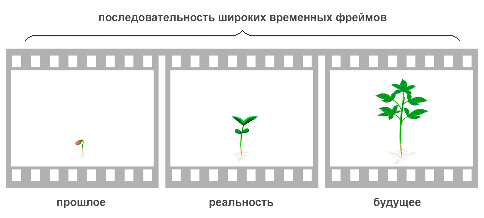 компоненты ситуации