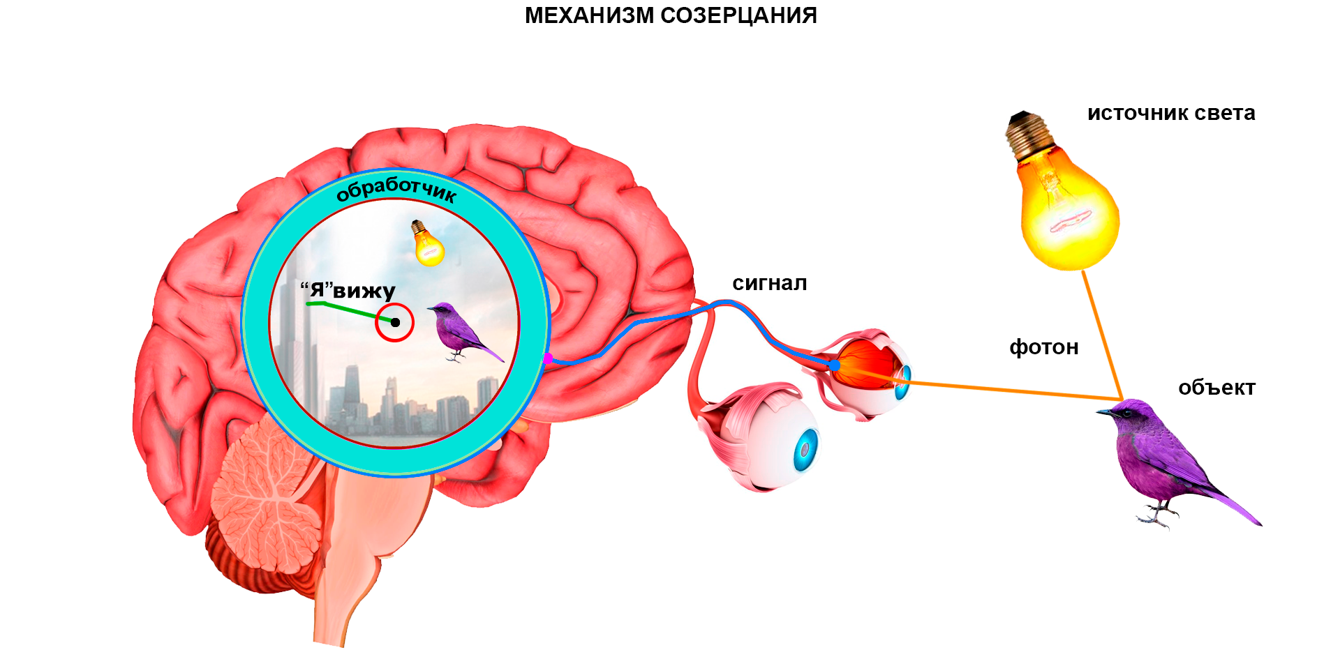 механизм созерцания